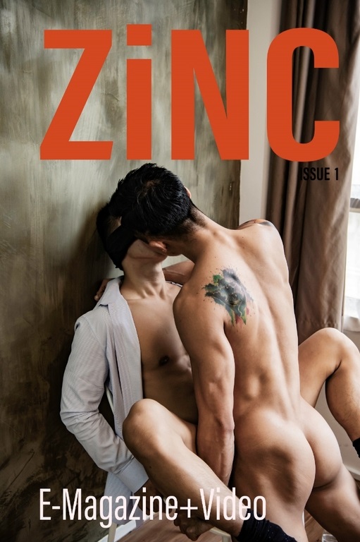 ZINC 01