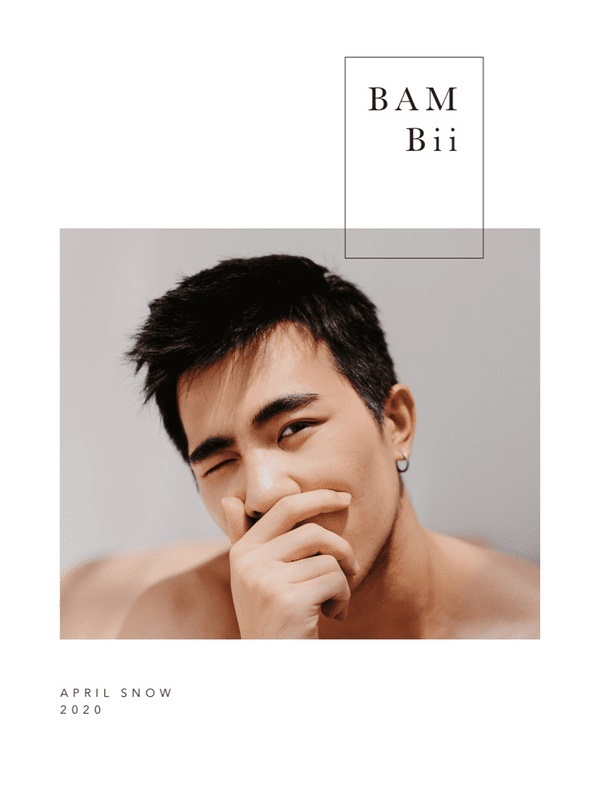 BAM BII 01