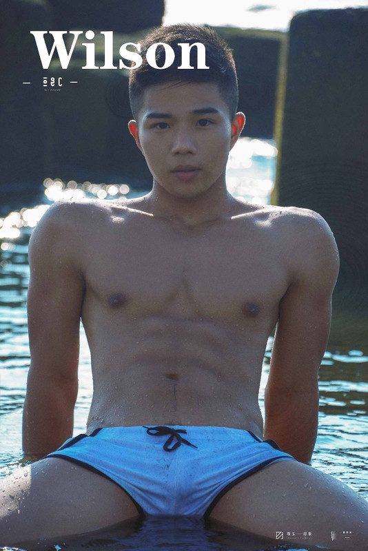 OGC WILSON
