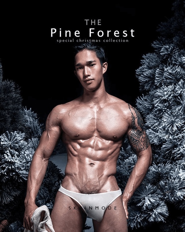 XPERIMENT THE PINE FOREST