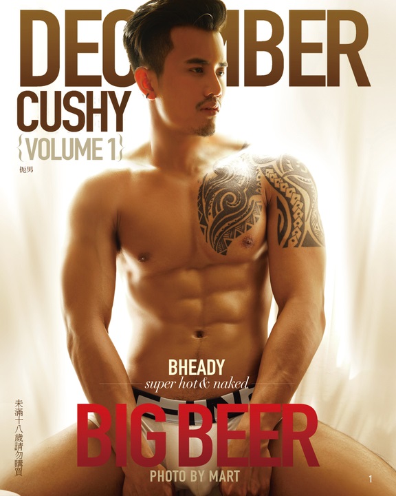 DECEMBER CUSHY 01