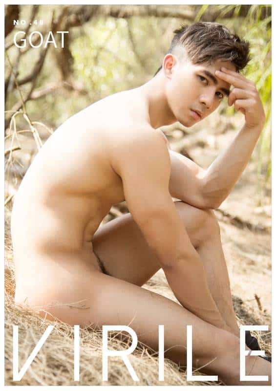 VIRILE 48