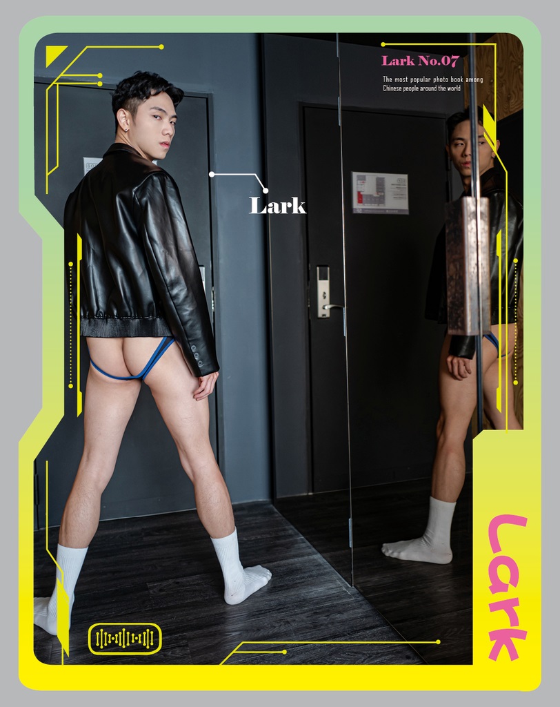 LARK 07