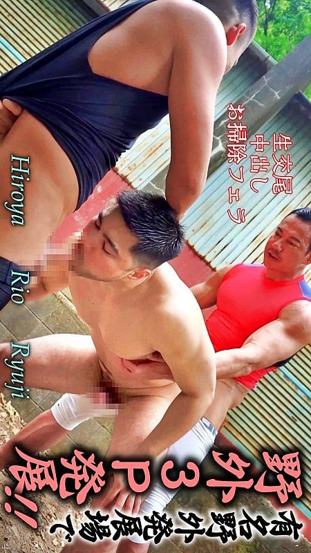 PVV-3873523