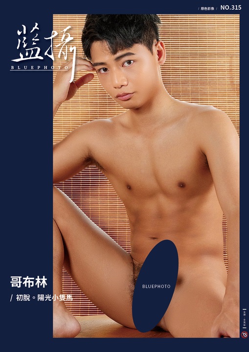 BLUE PHOTO 315