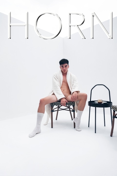 HORN 01