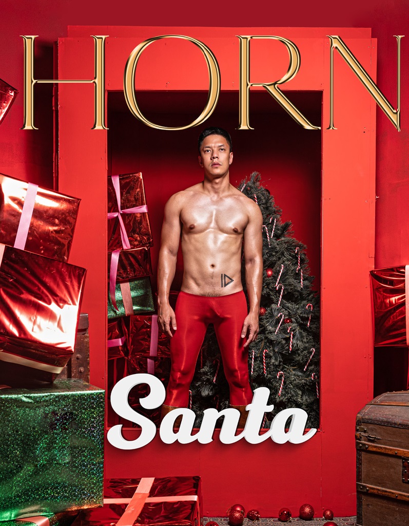 HORN 04