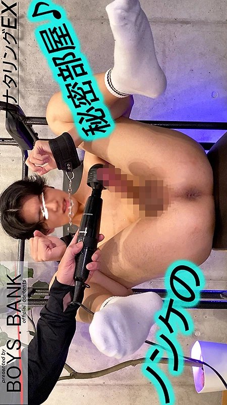 BYB-0242
